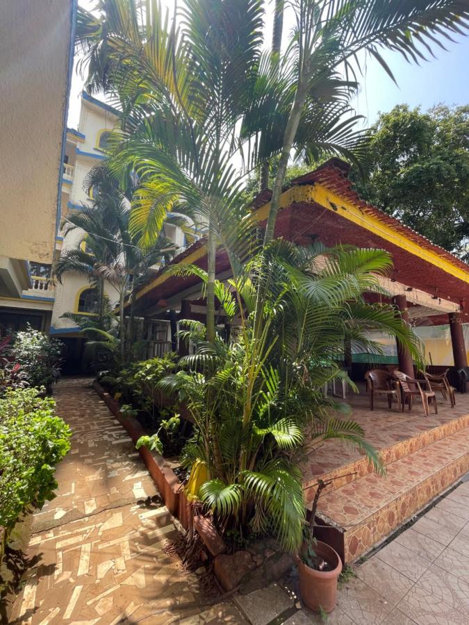 Apartment 1 Bhk Cozynest
